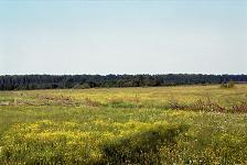 Fot.: Piotr Moranowski