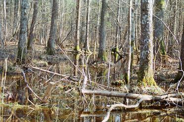 Fot.: Irena Moranowska