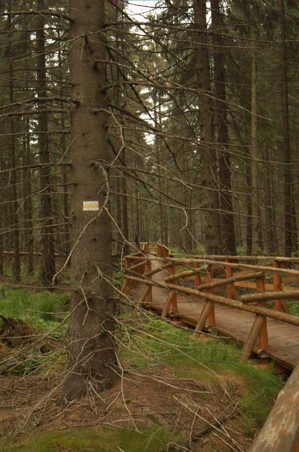 Fot.: Oznakowanie ścieżki dydaktycznej (boaedon.pl)
