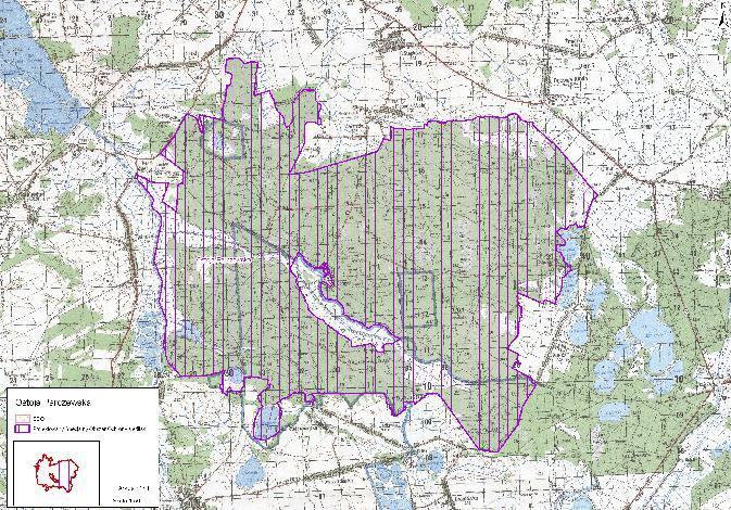 Fot.: natura2000.mos.gov.pl