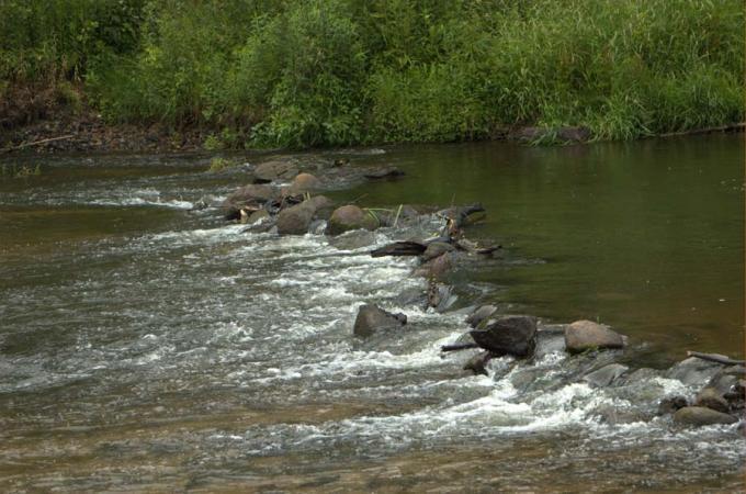 Fot.: rzeka Świder - czy potrafimy oszczedzać wodę (MK)