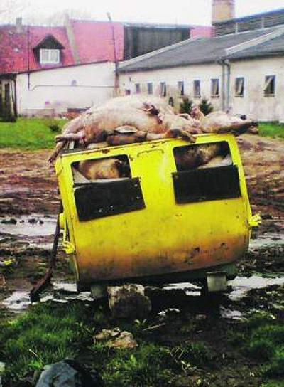 Fot: Dziennik Bałtycki