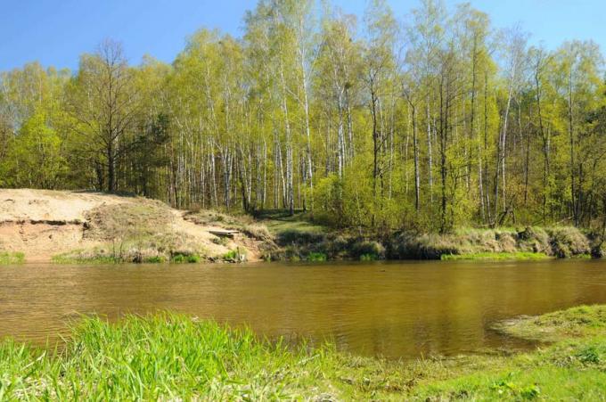 Fot.: Rzeka Wkra (boaedon.pl)