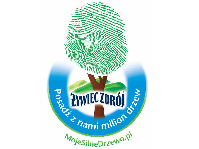 Moje Silne Drzewo