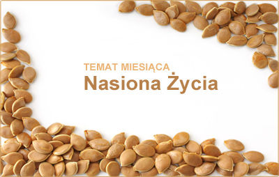 Nasiona życia - nasiona i ziarna, które warto włączyć do diety