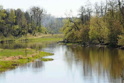 Czy Natura 2000 rzeczywiście blokuje realizację inwestycji?