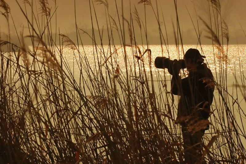 „Obserwowanie ptaków” Tomasza Przybylińskiego to książka niezbędna dla każdego miłośnika przyrody, a zwłaszcza aktywnego podglądacza ptasiego życia.
