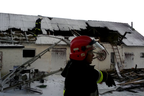 Toruńska Fundacja Viva apeluje o pomoc w znalezieniu tymczasowego schronienia dla zwierząt.