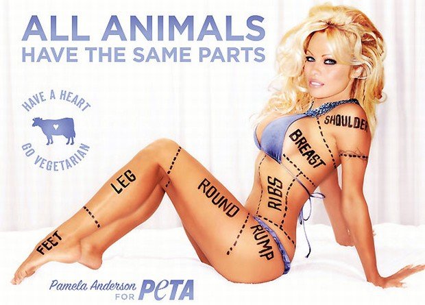 Pamela Anderson w kampanii PETA