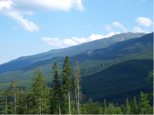 Fot. WH. Babiogórski Park Narodowy