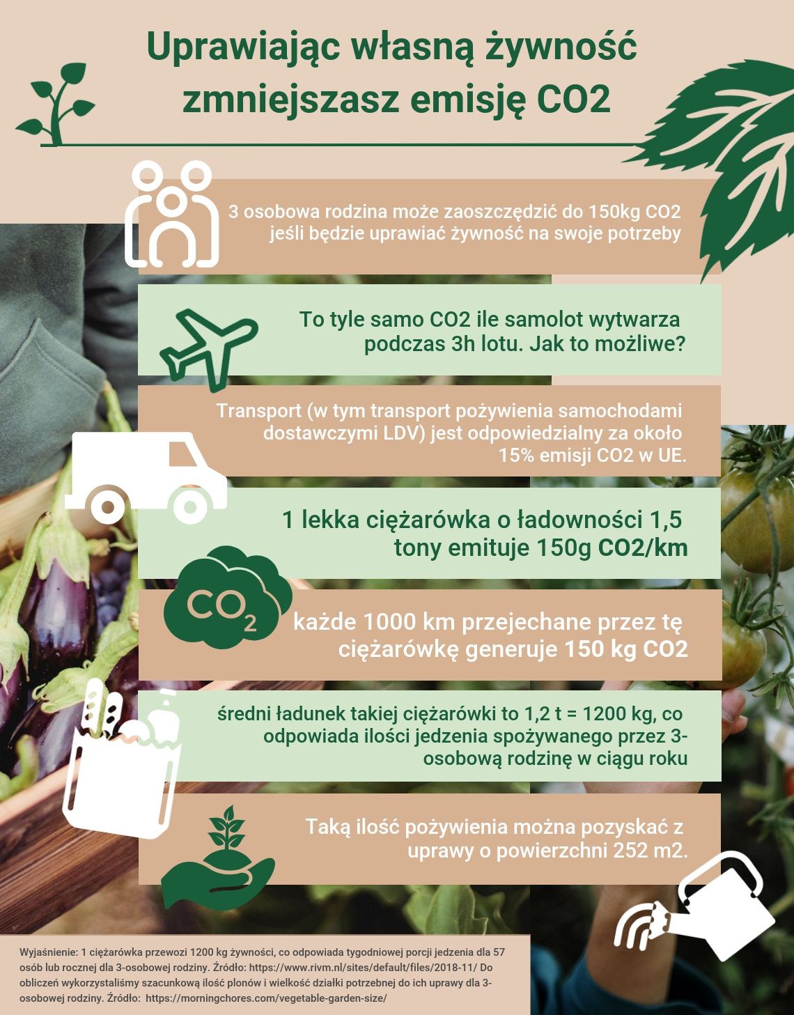 grafika: materiały ShopAlike.pl