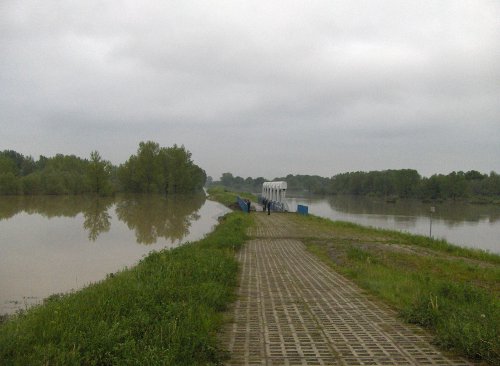 Fot. Swd, wikipedia.org