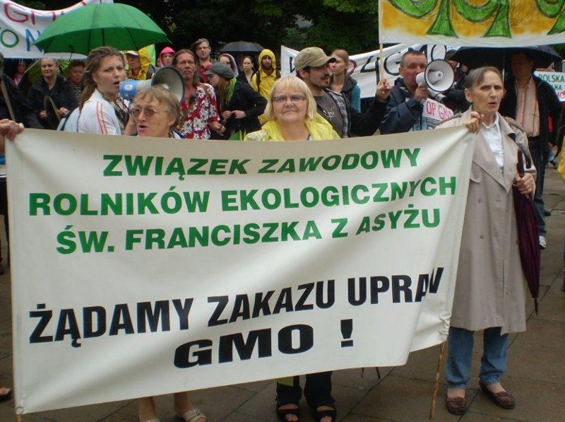 Danuta Pilarska na pikiecie przeciwko ustawie o GMO pod Sejmem