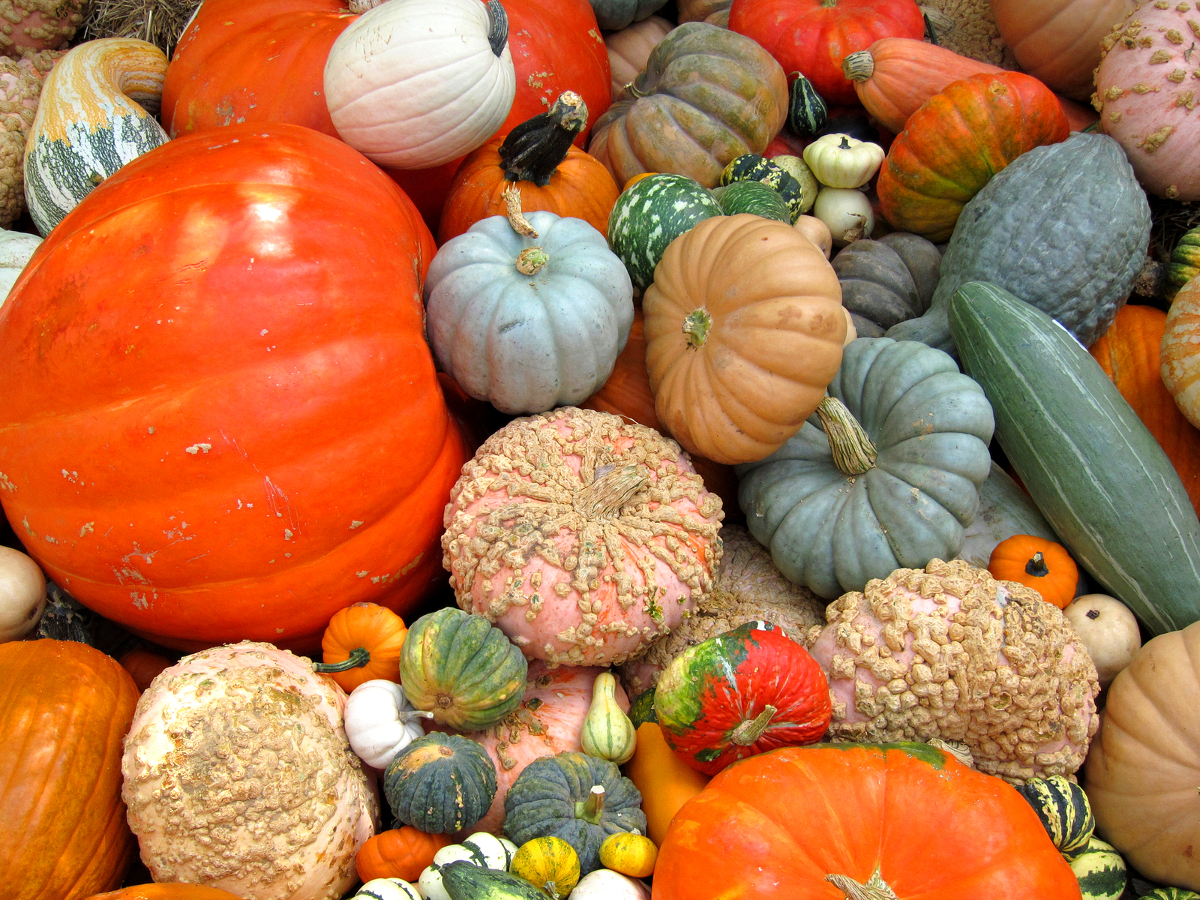 Freeimages.com/Robert Linder