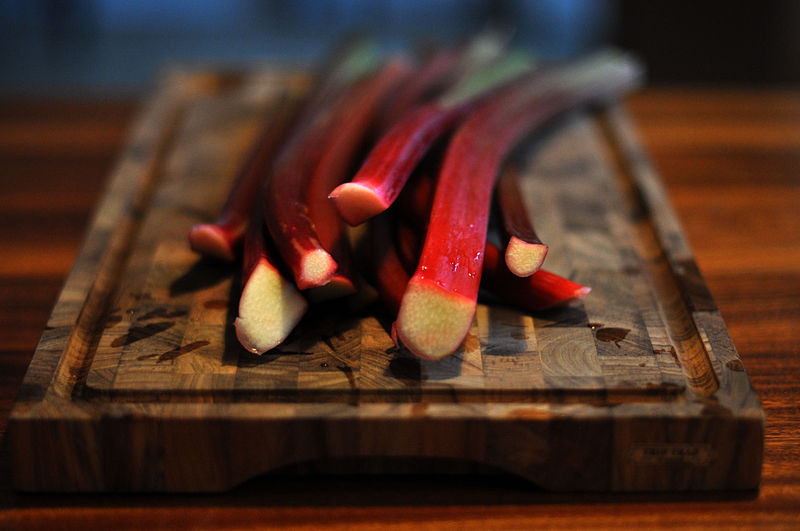 By cyclonebill from Copenhagen, Denmark (RabarberUploaded by FAEP) [CC-BY-SA-2.0], via Wikimedia Commons