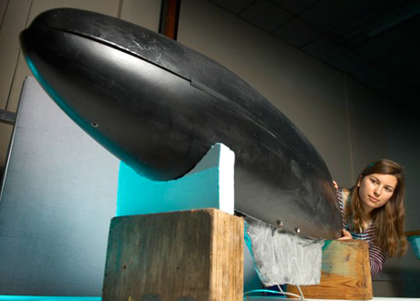 Fot.: nowy robot ryba (University of Bath)