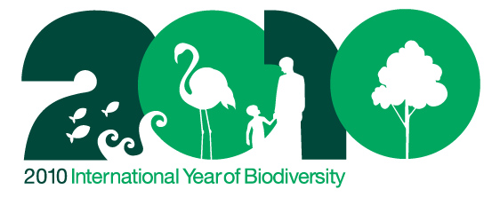 Międzynarodowy Rok Bioróżnorodności