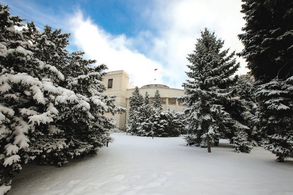 Wszystkie kluby parlamentarne są za oddaniem parków... do prac w komisjach. Fot. Ł. Kamiński, źródło: Las Polski