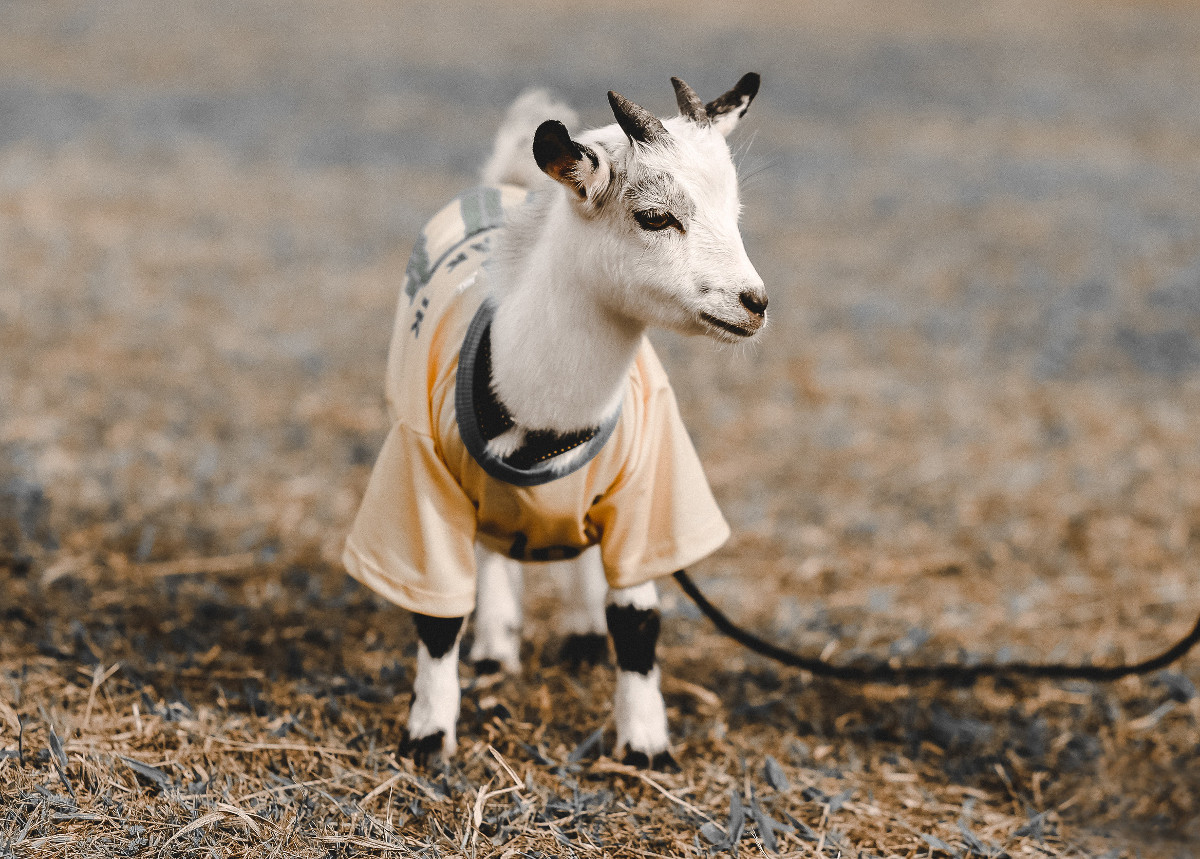 unsplash-logosergio souza