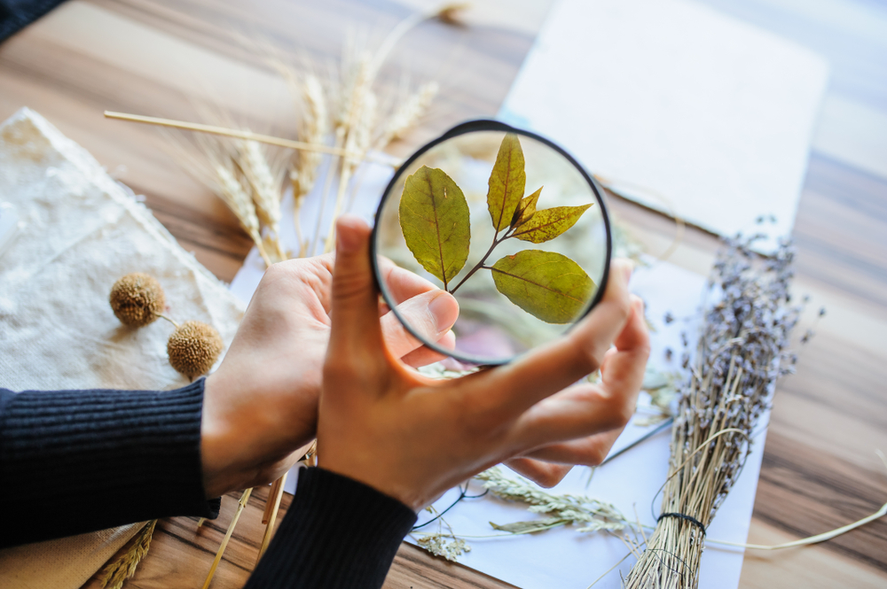 Praca botanika skupia się na badaniu świata roślin. Źródło: shutterstock