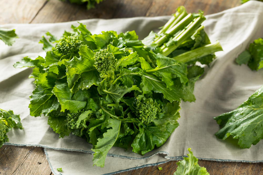 Pęczek brokułów rapini. Źródło: shutterstock