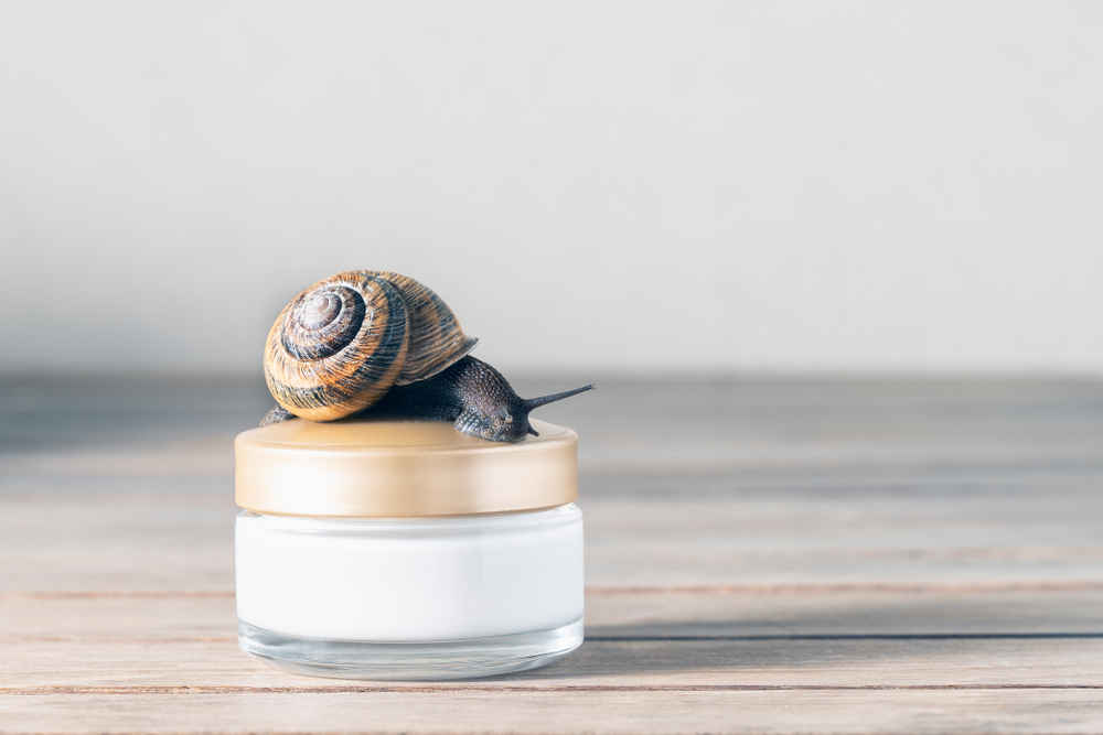 Kosmetyki z dodatkiem śluzu ze ślimaka to prawdziwy hit w pielęgnacji urody. Źródło: shutterstock