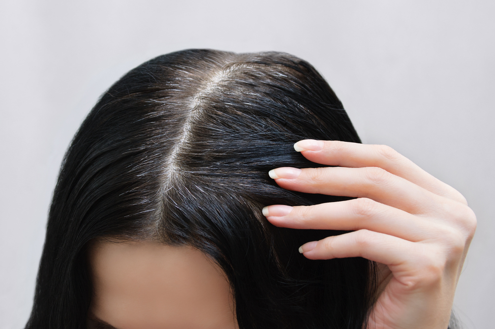 Odsiwiacz stosuje się, gdy w naturalnych włosach pojawiają się siwe pasma. Źródło: shutterstock