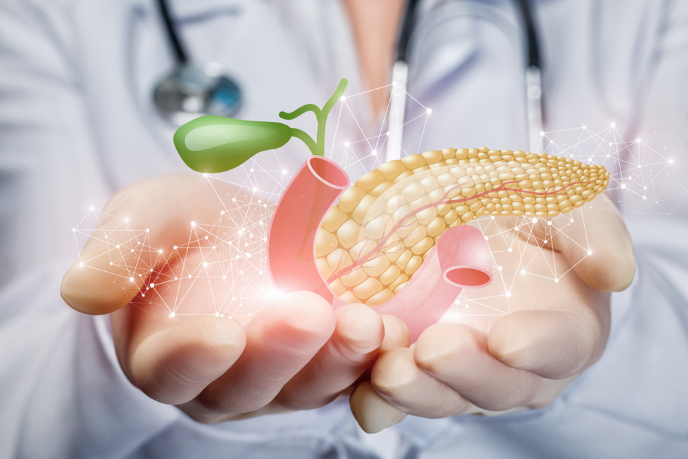 Enzymy wytwarzane są m.in. w trzustce. Źródło: shutterstock