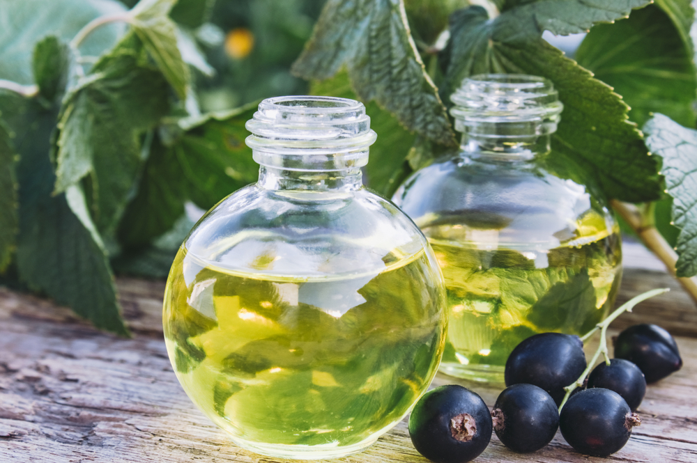 Olejek z pestek czarnej porzeczki. Źródło: shutterstock