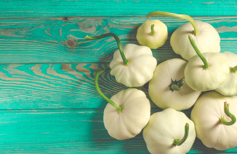 Patison, fot. shutterstock