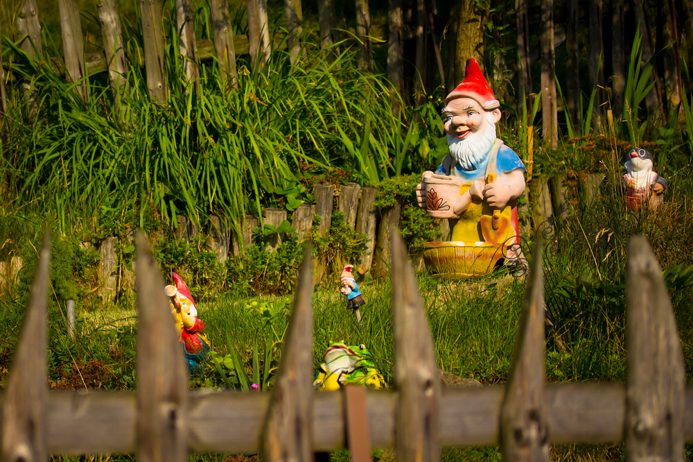 Krasnale ogrodowe widziane zza płotu. Źródło: shutterstock