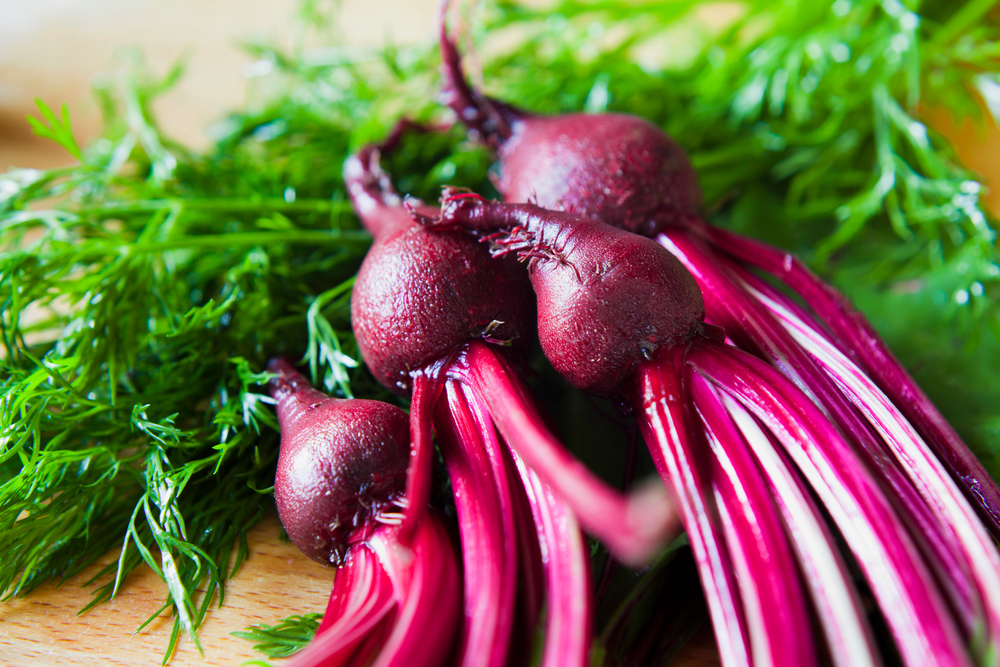 Botwina to młode liście, łodygi i korzenie buraka ćwikłowego, fot. shutterstock