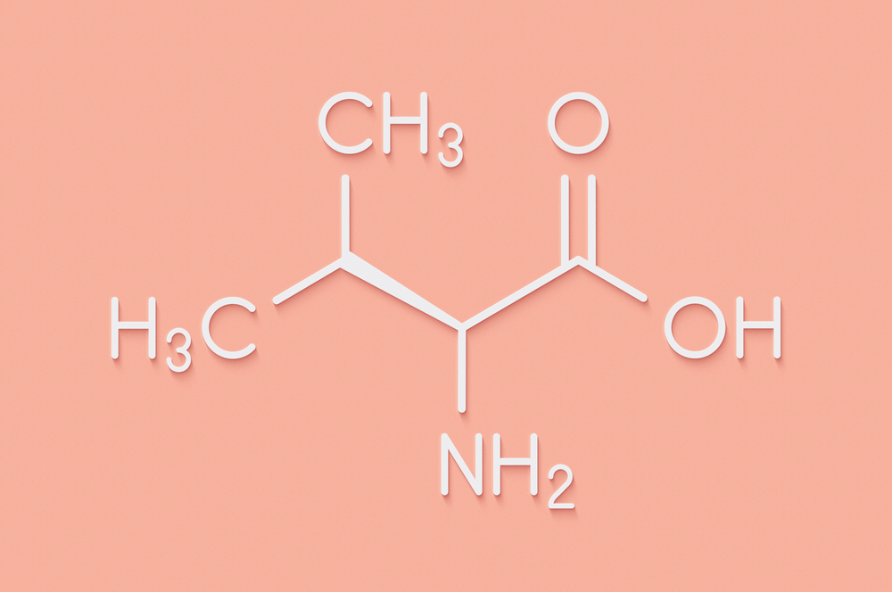 Wzór chemiczny cząsteczki waliny. Źródło: shutterstock