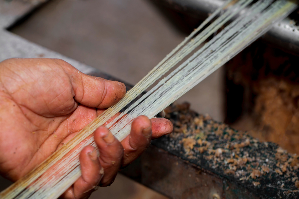 Włókno bananowe, fot. shutterstock