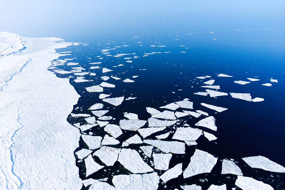 Fot. Kaspars Grinvalds/Shutterstock
