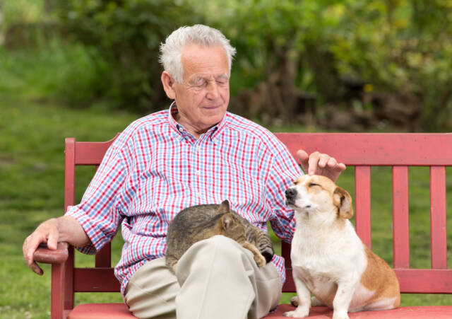fot. shutterstock