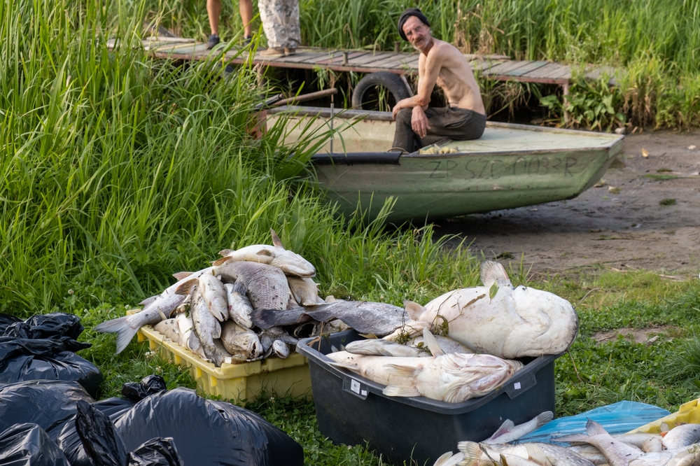 Dariusz Gorajski / Shutterstock.com