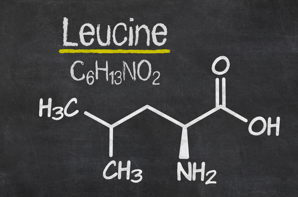 Wzór chemiczny cząsteczki leucyny. Źródło: shutterstock