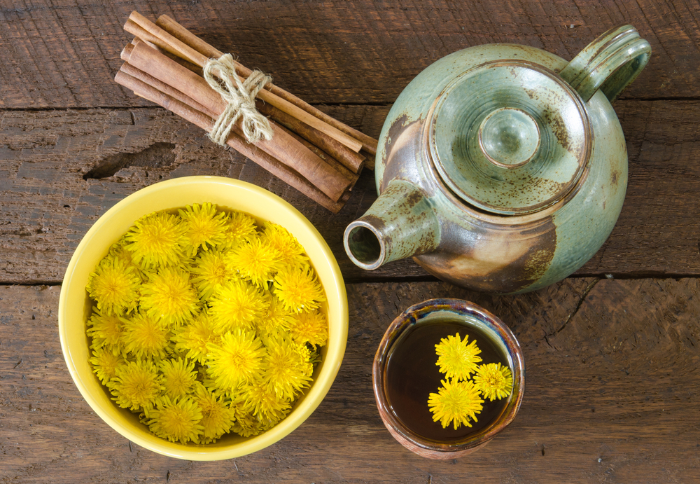 Herbata z Taraxacum officinale ma właściwości przeciwzapalne i przeciwwirusowe, fot. shutterstock