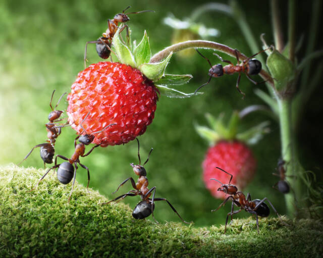 Fot. Andrey Pavlov/Shutterstock