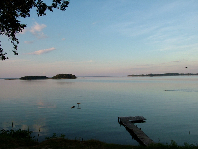 Jezioro Śniardwy, widok na jezioro od strony wsi Niedźwiedzi Róg/Wikipedia