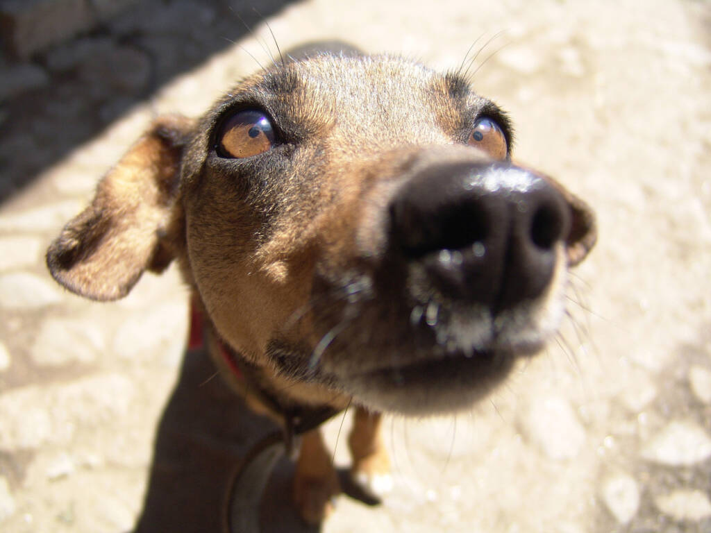 Freeimages.com/Csaba Tomcsak