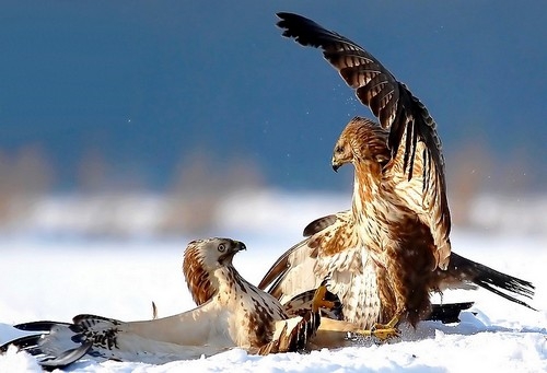 Spotkanie/Fot. Mariusz Grzeskowiak
