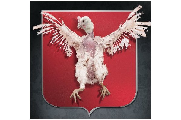 VIVA, czujesz dumę? Michał Próg