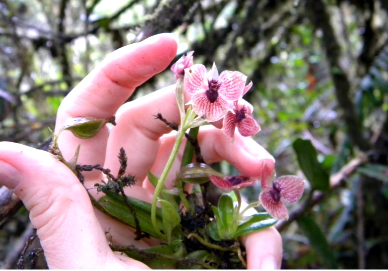 Źródło: https://ug.edu.pl