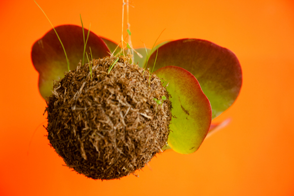 fot. www.annedokter.com