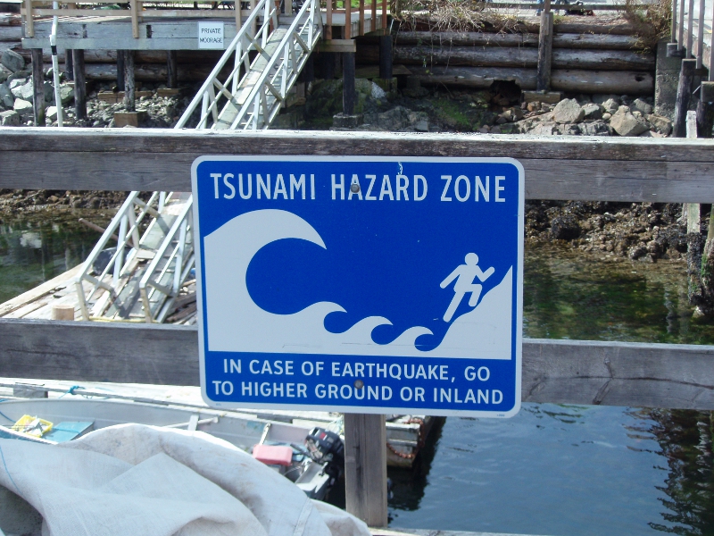 Znak ostrzegający przed falą tsunami