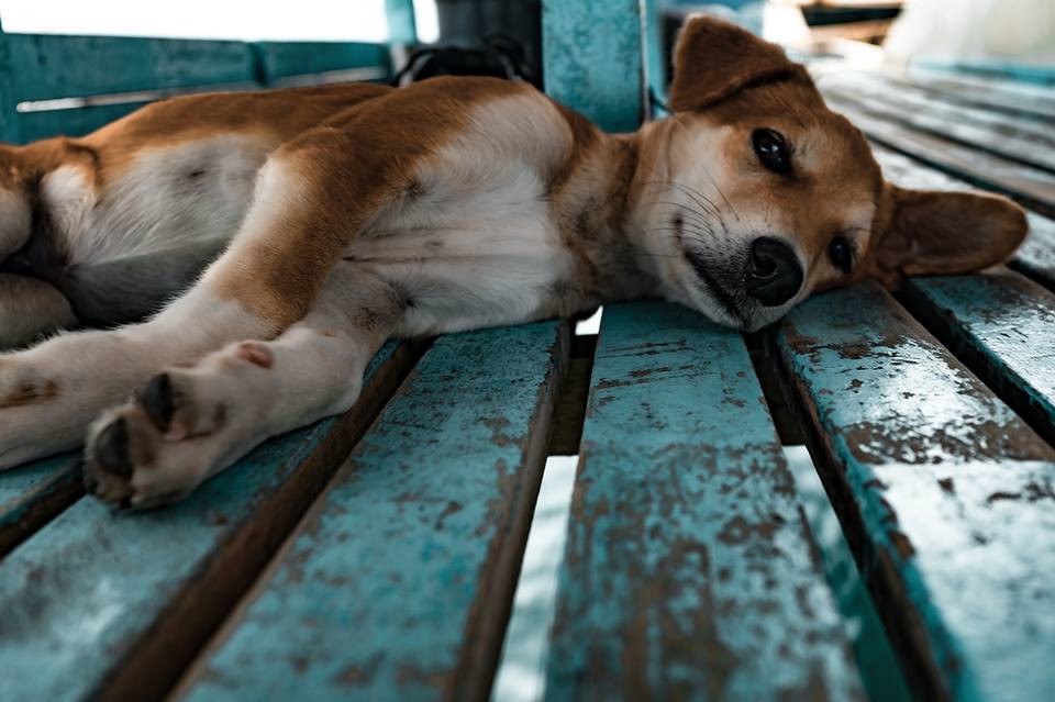 pixabay.com
