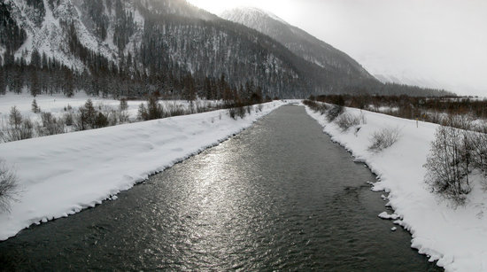 Fot. Alexander Umbricht/ Wikipedia CC