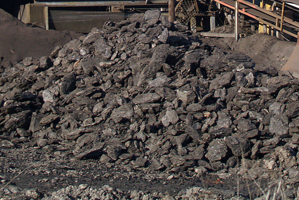 By Edal Anton Lefterov (Own work) [CC-BY-SA-3.0 or GFDL], via Wikimedia Commons